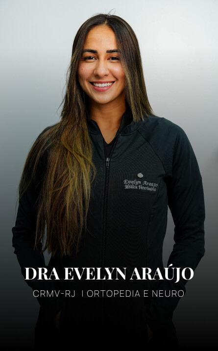 Veterinários 2 (1)
